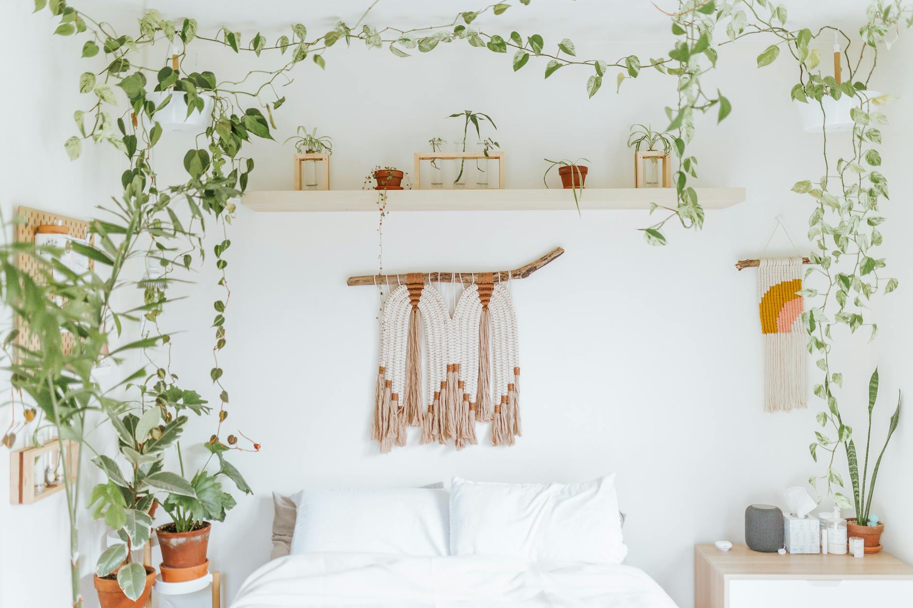 DIY Macrame Wall Hanging for Beginners